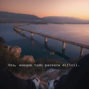 Meet your Posher, Lolis